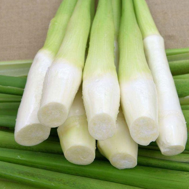 茭白配送-粵崗蔬菜配送